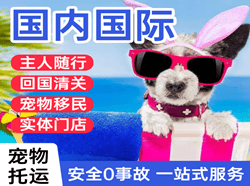 平潭航空快递国际宠物托运 【国